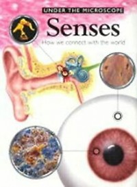 Senses : how we connect with the world