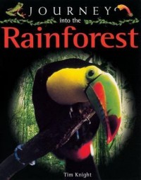 Journey into the rainforest