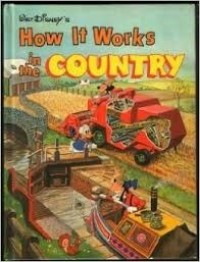 How it works in the country