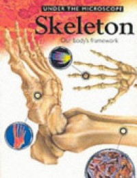 Skeleton : our body's framework