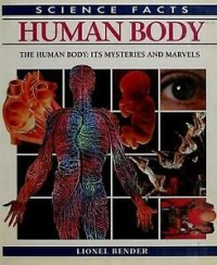 Human body