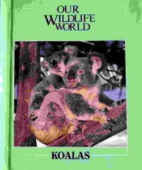 Koalas