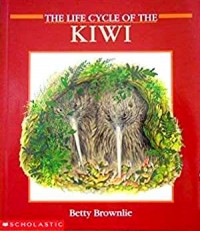 The life cycle of the kiwi
