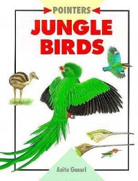 Jungle birds