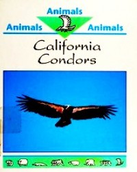 California condors