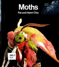 Moths