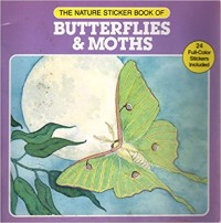 Butterflies & moths