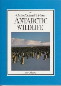 Antarctic wildlife