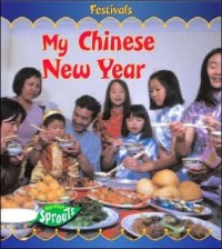 My Chinese New Year