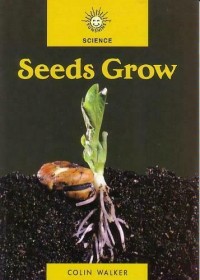 Seeds grow