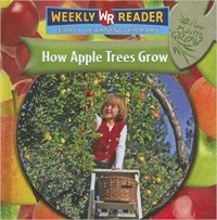 How apple trees grow