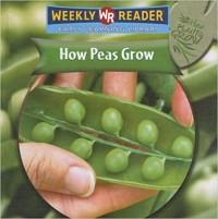 How peas grow