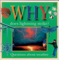 Why does lightning strike? : questions children ask about the weather