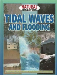 Natural disasters : tidal waves and flooding
