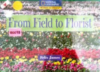 From field to florist