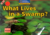 What lives in a swamp?