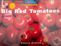 Big red tomatoes