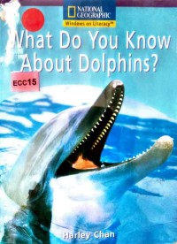 What do you know about dolphins?