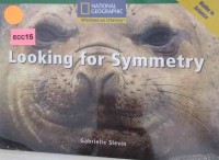 Looking for symmetry