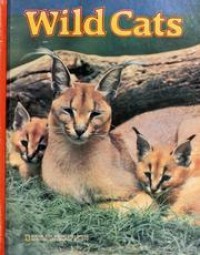 Wild cats