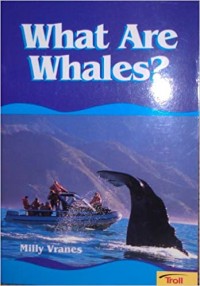 What are whales?