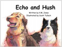 Echo and hush