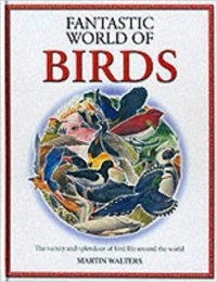 Fantastic world of birds