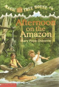 Afternoon on the Amazon