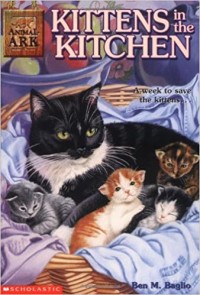 Kittens in the kitchen