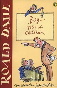 Boy : tales of childhood