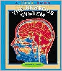 The nervous system
