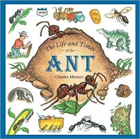 The life and times of the ant