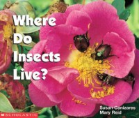Where do insects live?