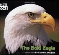 The bald eagle