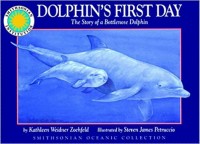 Dolphin's first day : the story of a bottlenose dolphin