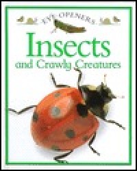 Insects and crawly creatures