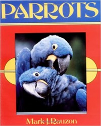 Parrots