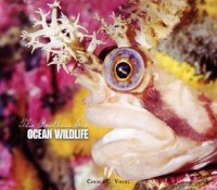 Ocean wildlife