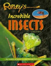 Ripley's incredible insects