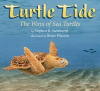 Turtle tide : the ways of sea turtles