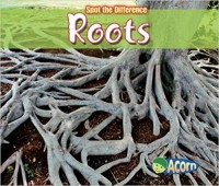 Roots