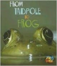 From tadpole to frog