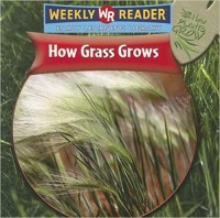How grass grows