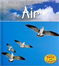 Air