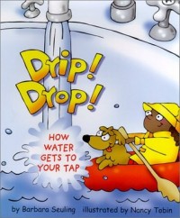 Drip! drop! : how water gets to your tap
