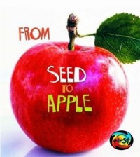 From seed to apple