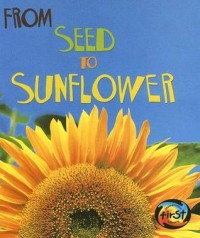 From seed to sunflower