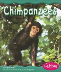 Chimpanzees