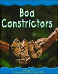 Boa constrictors