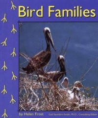 Bird families